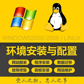 网站调式安装服务购买链接,拍前联系客服报价