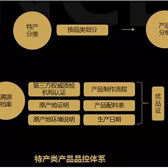 瞄准内容创业者,腾讯公益新玩法:企鹅优品来了-站长资讯