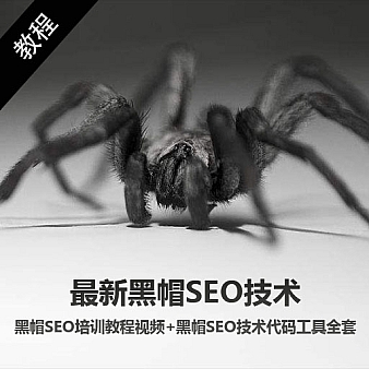 ㊙️最新黑帽SEO技术 黑帽SEO培训教程视频+黑帽SEO技术代码工具全套