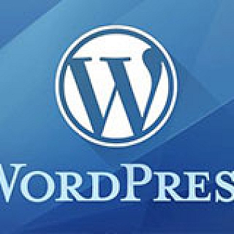 WordPress登录返回登录前浏览页面