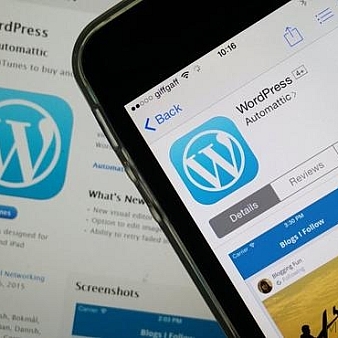 WordPress全球份额已达25%:早已不是博客工具