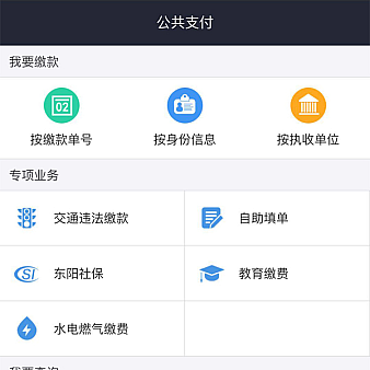 公共支付平台页面手机模板