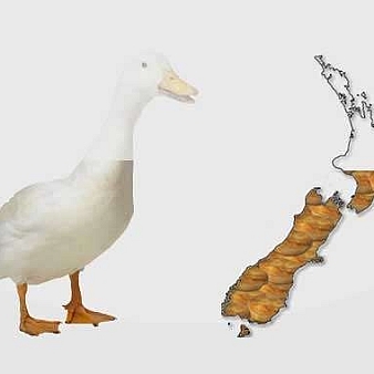 jQuery动态的图片加载插件