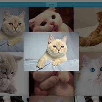 js网格图片相册换一换代码