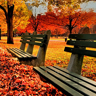 Firefox火狐一键禁用JS扩展