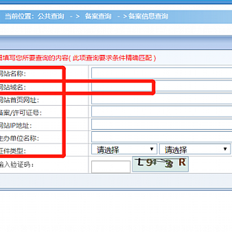 主体备案号怎么查询