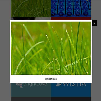 jQuery支持图片/视频弹窗插件