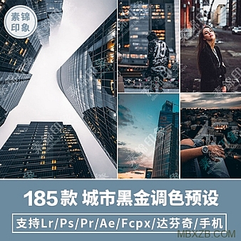 LUT预设LR工业风城市黑金街拍夜景人像PR/FCPX达芬奇AE调色PS滤镜