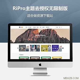 🔐RiPro主题最新开心版(免sg11)去授权无限制版【更新至V9.1】