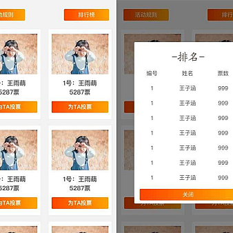 通用的投票排行榜手机页面