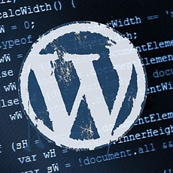 WordPress显示数据库查询次数和查询花费时间