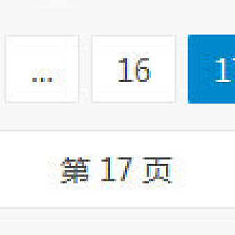 漂亮的WordPress内置分页导航代码
