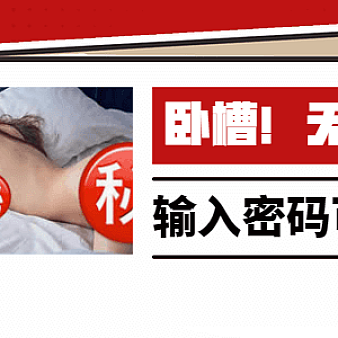 4款WordPress需要密码才能访问网站的插件_密码查看内容