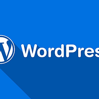wordpress批量修改或删除文章中的字符
