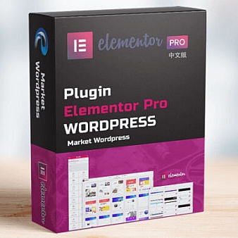 Elementor Pro v3.11.3 + Elementor v3.11.2 已激活汉化版 含PRO模板