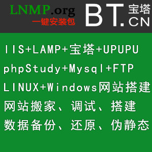Linux/Windows环境配置/网站搬家搭建/LNMP/宝塔/wd***/IIS/Mysql